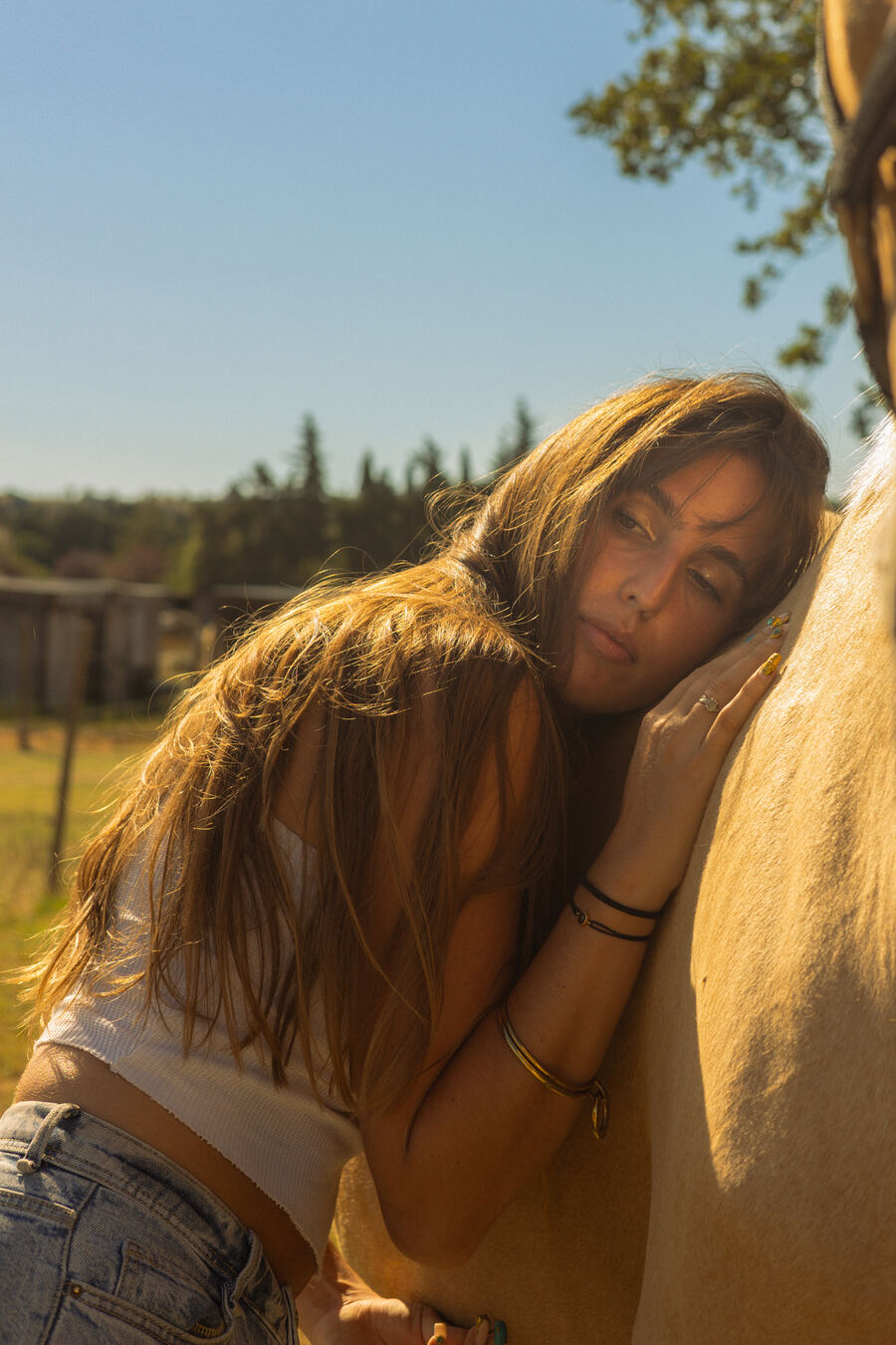 Deux femmes avec un cheval, lumière dorée